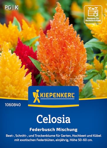 Kiepenkerl Celosiasamen Federbusch Mischung 1060840, Sommerblumensaat