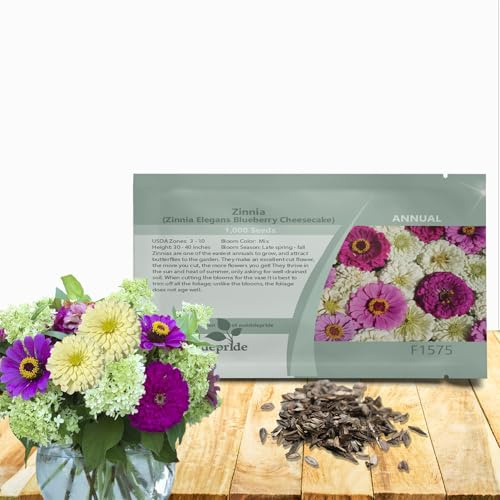 Outsidepride Blueberry Cheesecake Zinnia Seeds - 2000 Seeds Annual, Heat & Drought Tolerant Flower Seeds for Planting w/Vibrant Blooms for Pollinator Gardens & Floral Arrangements
