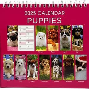 PaulStore 2027 Desktop Calendar – Month-to-View Flip Over Square Planner for Home, Office, and School Desk Organizer (Puppy)