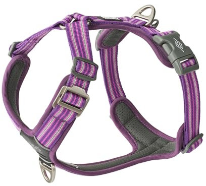 DOG Copenhagen Comfort Walk Air 3.0 Hundegeschirr - Geschirr für Hunde - Welpengeschirr, Purple Passion, M