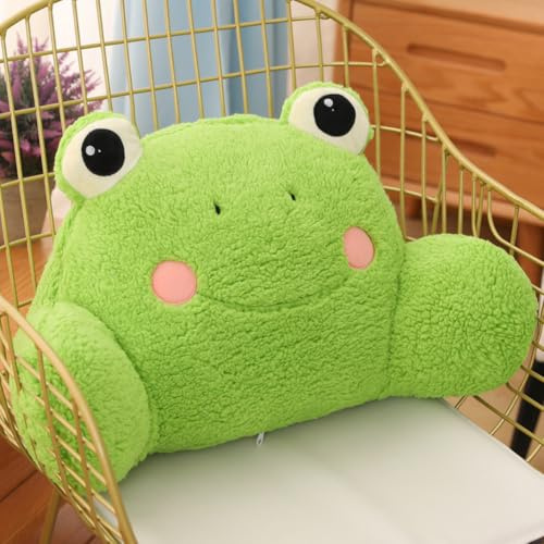Gujuja Reading Pillow Back Pillow for Sitting Up in Bed Relax Bed Rest Pillow with Arms Office Car Seat Lumbar Support Cushion for Kids Teens Boys Girls