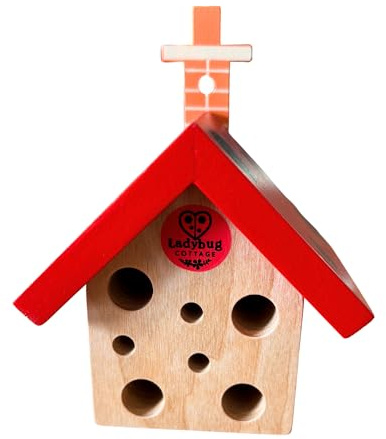 House of Marbles Wooden Ladybird Cottage for Garden Wildlife - Ladybird House, Insect Habitat & Bug Hotel, Eco-Friendly Outdoor Nature Gift for Children & Adults