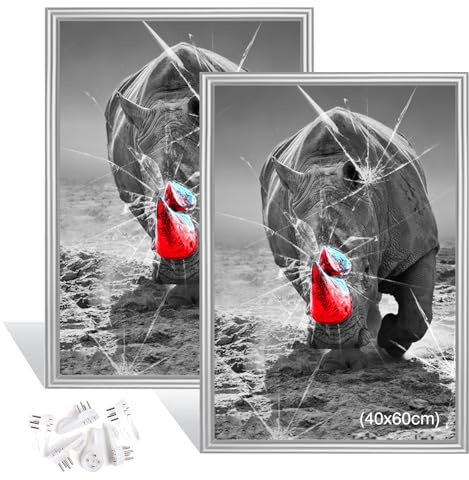 Dmyifan Set di 2 cornici 40×60 cm argento, cornice portafoto con plexiglass, cornice per foto e poster montabile sia verticalmente che orizzontalmente | Picture Frame
