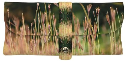 DEXNEL Grasses View - Elegante custodia per occhiali leggera e pratica, in pelle, protegge le lenti con stile e comfort, Bianco, taglia unica