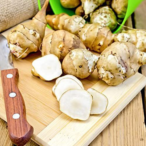 Topinambur Samen|GemüSesamen|Bio Saatgut Topinambur WildkräUter Samen Indoor KräUtergarten Garten Geschenk Hochbeete FüR Garten Geschenke FüR GäRtner-10stüCk