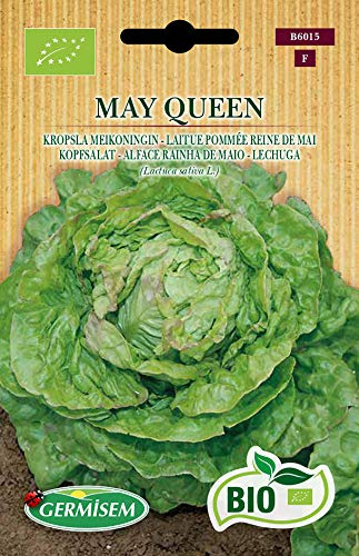 Germisem Orgánica May Queen Semillas de Lechuga 2 g