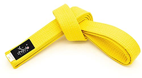 ChoCho Track Karate Belt Wide Double Wrap Martial Arts All Solid Color Belts Judo Hapkido (240Cm, Yellow)
