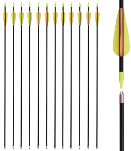 30 Inch Fiberglass Arrows Archery Recurve Bow Practice Target for Beginners Kids Women Youth Arrows Outdoor (Pack of 12)