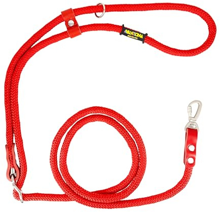 Guinzaglio Mani Libere per Cani di Piccole, Medie e Grandi, Allungabile, per Correre Jogging. Realizzato in Spagna. Rosso & Rosso.