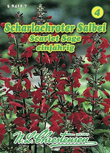 N.L. Chrestensen 584127 Salbei Scarlet Sage (Salbeisamen)