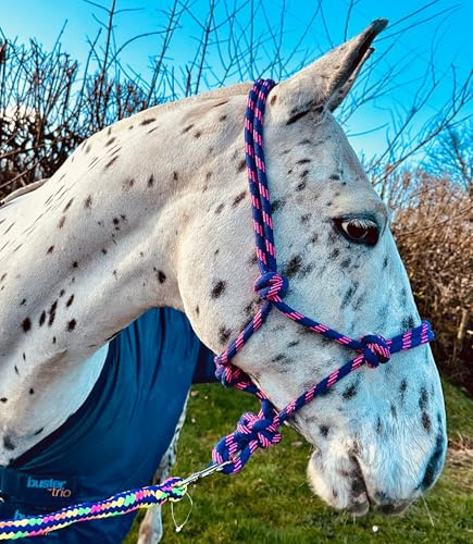 Rope Control Halter/Headcollar - One Size - Pink/Purple & Blue - Soft Braided Rope Blue