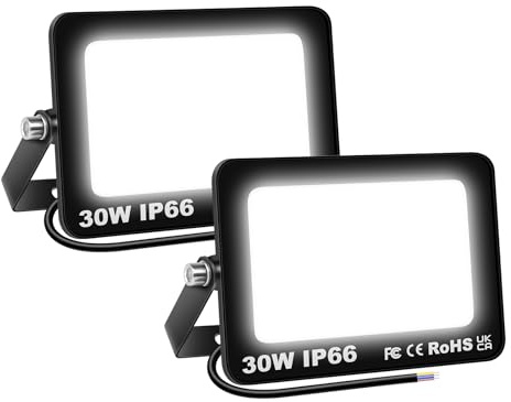 Willpower Faro LED Esterno 30W Faretti LED 6000K Bianco