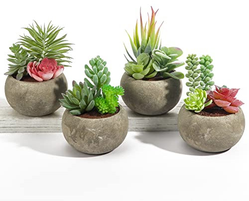 PETAFLOP Succulents Plants Artificial Set of 4, Assorted Small Fake Succulent in Pots Decorative for living Room Home Office Decor