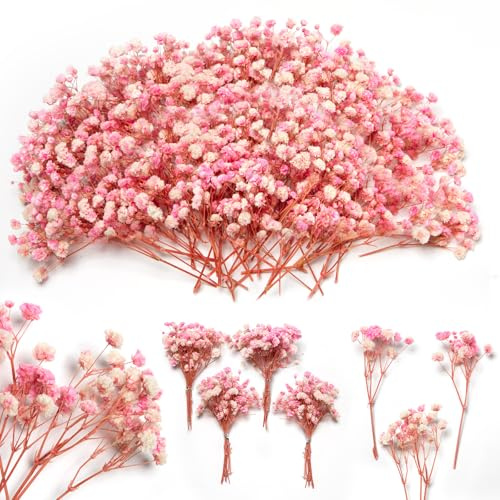 70 st små rosa torkade baby andetagblommor, 15,2 cm (5 tum), mer än 4 000 st naturliga gypsophila, torra blommor, bulk, för vas och naglar, harts, hantverk, dekoration