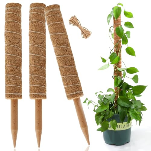 Moss-stång, Monstera ostväxtstödstång, inomhus utomhus växtpinne för klättringsväxter, mossstång för Monstera krukväxter (3-pack utdragbar mossstång 40 cm/16 tum)