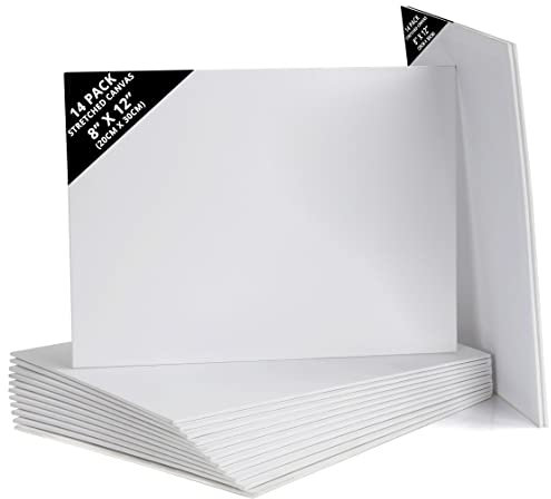 Belle Vous 14 Stk Leere Leinwände zum Bemalen – 20 x 30 cm – Vorgespannte Kleine Leinwand – Leinwände für Acrylmalerei, Ölgemälde, Skizzen und Zeichnungen