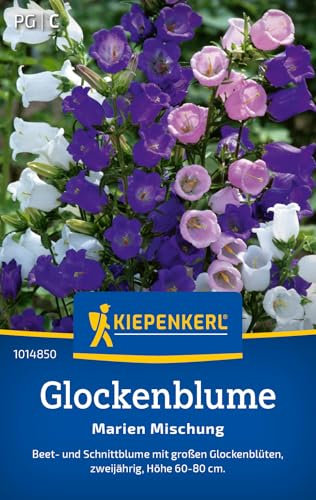 Kiepenkerl Glockenblumensamen Marien Mischung 1014850 - Blumensamen für eine Beet- und Schnittblume mit einer Wuchshöhe von 60 bis 80 cm und Inhalt für 150 Pflanzen - Saatgut