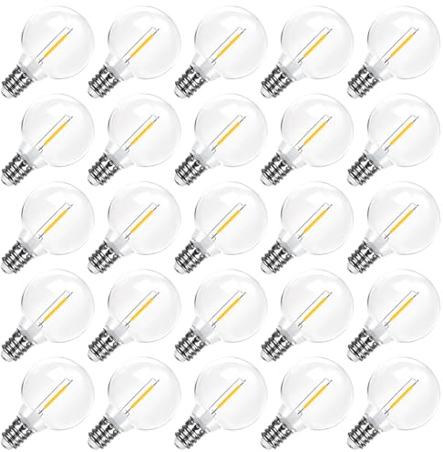 LangPlus+ lampadine LED G40 1W Bassa Tensione DC 24V, Confezione da 25