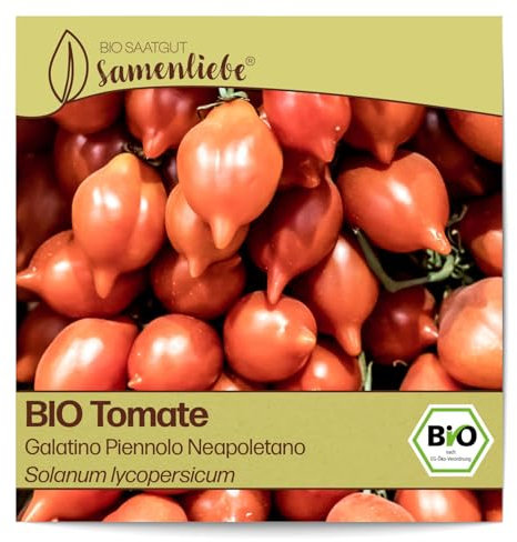 Samenliebe BIO Tomaten Samen alte Sorte Galatino Piennolo Neapoletano süße Kirschtomate Cherrytomate rot 10 Samen samenfestes Gemüse Saatgut für Gewächshaus Freiland und Balkon BIO Gemüsesamen