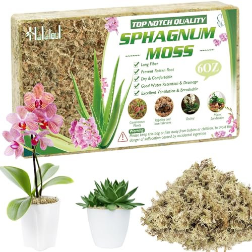 Halatoo 170g Sphagnum Moos für Pflanzen，Natürliches Torfmoos Langfaser，Moos für Orchideen Terrarien,fleischfressende Pflanzen,Sukkulenten und Reptilien.