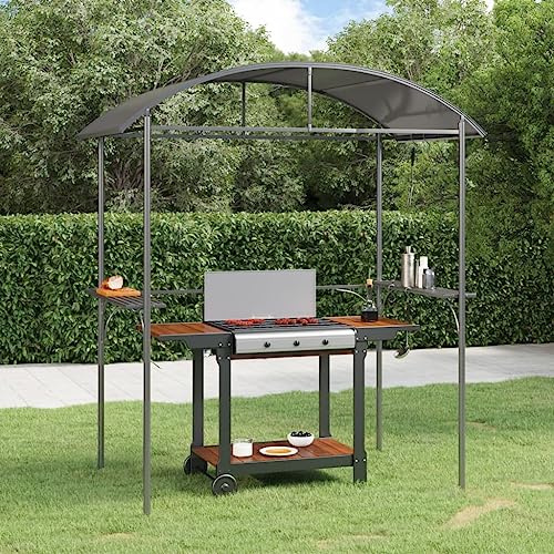 Qnhdfrt Tonnelle de barbecue, anthracite, 220 x 115 x 230 cm, avec étagères latérales et barres de suspension, cadre en acier robuste avec toit en polycarbonate, pour jardin, camping et événements en