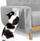 Pawaboo Katze Kratzschutz, 10 Pack Doppelseitig Kratzpads für Katzen mit Selbstklebend Katze Kratzschutzfolie mit 60 Polster Nägel Katze Krallen Guards Pads für Sofa Möbel Tür Kratzschutz, Weiß