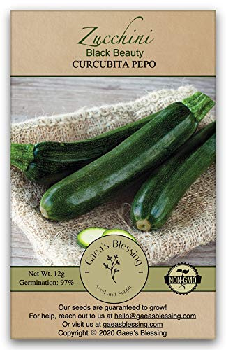 Gaea's Blessing Seeds - Zucchini Seeds - Non-GMO - with Easy to Follow Planting Instructions - Heirloom Black Beauty Summer Squash 97% Germination Rate