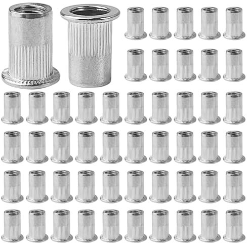 100 Pièces Insert Fileté Metal M8, Aciers Inoxydables, avec Corps Rainuré Insert Fileté, 10 mm Insert Fileté Metal, Ecrou a Sertir, AdaptéS aux Panneaux MéTalliques et Plastiques (argent)