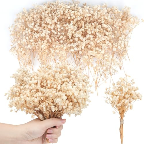 200 st minitorkad Gypsophila 8 000 + vita torkade blommor, naturlig dekoration, bröllop, blomma, för håraccessoarer, bröllop, girlang, presentvas, heminredning (beige)
