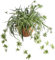 Laelfe Artificial Spider Plants, 60 cm Faux Silk Chlorophytum Comosum Fake Hanging Spider Plants Decor for Outdoor Indoor Home Garden Office Decoreation (2 Pcs)