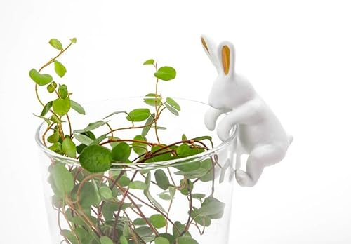 Good old Friends Porzellan Kletterhase Goldohr