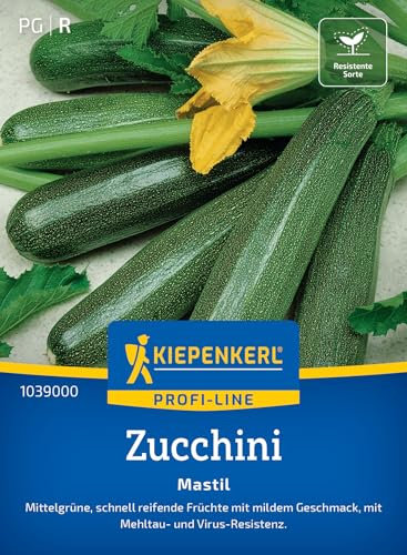 Kiepenkerl Profi-Line Zucchinisamen Mastil 1039000 für 6 Pflanzen - Mittelgrüne, zylindrische Früchte, robust & widerstandsfähig, ideal für Freiland & Gewächshaus