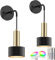 LABOREDUCER LED Wandleuchte Innen 2 Stück Schwarz mit Fernbedienung,Batteriebetriebene RGB Kabellose Wandlampe Wandleuchte Akku Modern Wandleuchte Wandbeleuchtung für Wohnzimmer Schlafzimmer