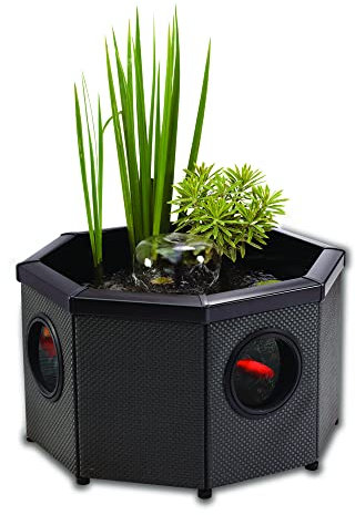 Aqugarden Affinity Pond, Kit de Estanque Elevado acristalado - Forma Octogonal, Cuenca Decorativa, Incluye Piscina y Bomba de Agua Inpond 5 en 1 3000 con clarificador UV, Tres Fuentes