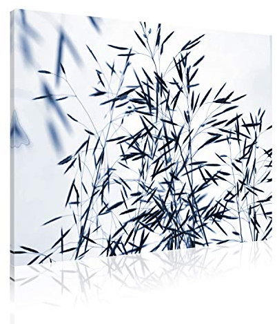 Akustikbild AbsorPic Grafik Motiv Gerste - Farbe Blau | Premium Breitband Schall Absorber verbessert die Raumakustik | 50 x 50 x 3cm | viele Größen+Farben - Made in GERMANY, Köln