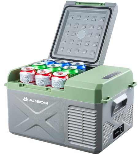 AAOBOSI Kompressor Kühlbox 10L, Kühlbox Auto Klein, Kühlbox Elektrisch -20°C bis 20°C, 12/24V DC 100-240 VC Kühlbox für Auto, LKW, Boot, Reisemobil, Camping