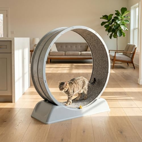Ruota per gatti in legno, 79 cm, con tappeto rimovibile, 84 x 79 x 34 cm, ruota per gatti, il tuo amico peloso