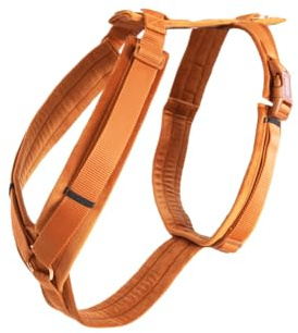 Kentucky - Hundegeschirr aktiv velvet orange S 26-40cm