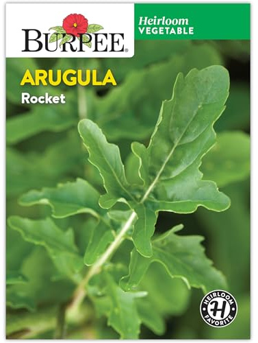 Burpee Rocket Arugula Seeds - Fast-Growing, Peppery Salad Greens