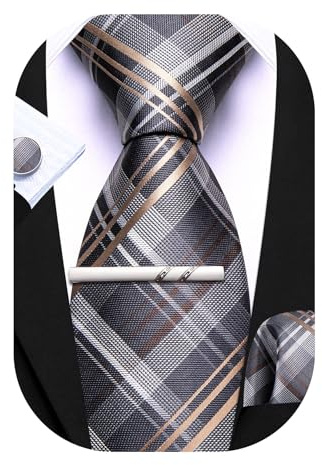 Barry.Wang Men Silk Ties Set Formal Pocket Sqaure Cufflink Tie-Clip Classic Stripe Paisley Necktie Set Business Party