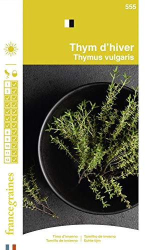 France Graines - Thym d'Hiver