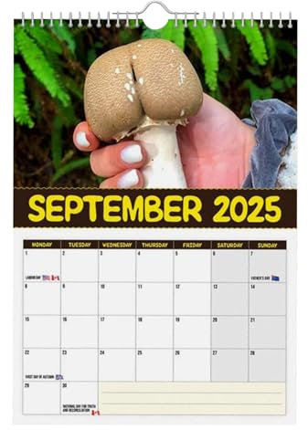 Kalender med de största svamparna i världen 2025 att hänga på väggen, rolig nyhet humor, 12-månaders kalender, månadsplanerare för hem, jul, födelsedag, nyhetspresent