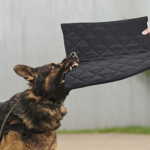 MABOZOO Indestructible Dog Beds - Chew Proof Crate Pad for Aggressive Chewers, Machine Washable Quilted Mat, Durable for Small Dogs, Black Kennel Pad (17x23 in)