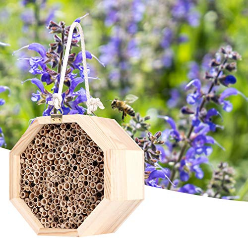 VBESTLIFE Casa de Insectos de Madera Candlenut, Hotel de Insectos Natural con Cuerda para Colgar, Caja Nido de Abejas Solitarias para Jardín, Patio, Balcón, Refugio de Madera para Polinizadores