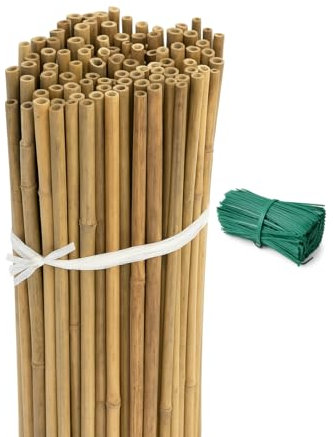 Cañas de Bambú para Plantas 120  cm Ø10–12  mm (Pack 100 Uds) con Alambres incluidos | Estacas para Huerto, Trepadoras, Pepinos, Jardín - Tutores Color Natural