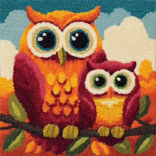 AMBATTERY Kit Cuscino Con Gancio Di Chiusura, Gufo animale Kit per Cuscini con Chiusura a Gancio Fai Da Te Cuscino Fatto A Mano All'Uncinetto Ricamo,43x43cm