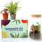 Handmade Clear Glass Terrarium Kit With Round Cork Top Open or Closed Garden Display Flower Pot Indoor Outdoor Centrepiece Planter Fittonia Moss 19cm Height (Kit with Fern & Fittonia)