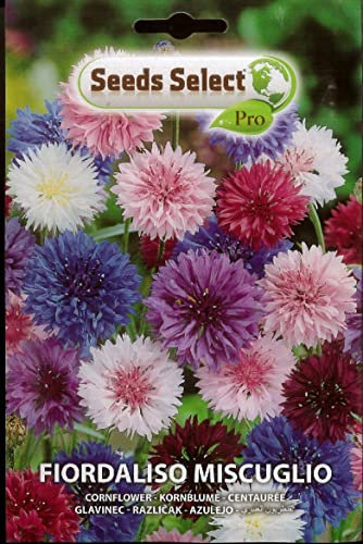 SEMI SEMENTI DI FIORDALISO IN BUSTINA