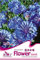 Semillas de flores de aciano semilla perenne envase original de 40 granos / bolsa