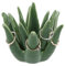 Wisebom Support pour Bague en Aloès, Support en Céramique pour Bague Cactus Porte-bague Cactus Organisateur, Porte-Bagues Aloe, pour Bagues Boucles D'oreilles Bracelets Colliers (Vert)